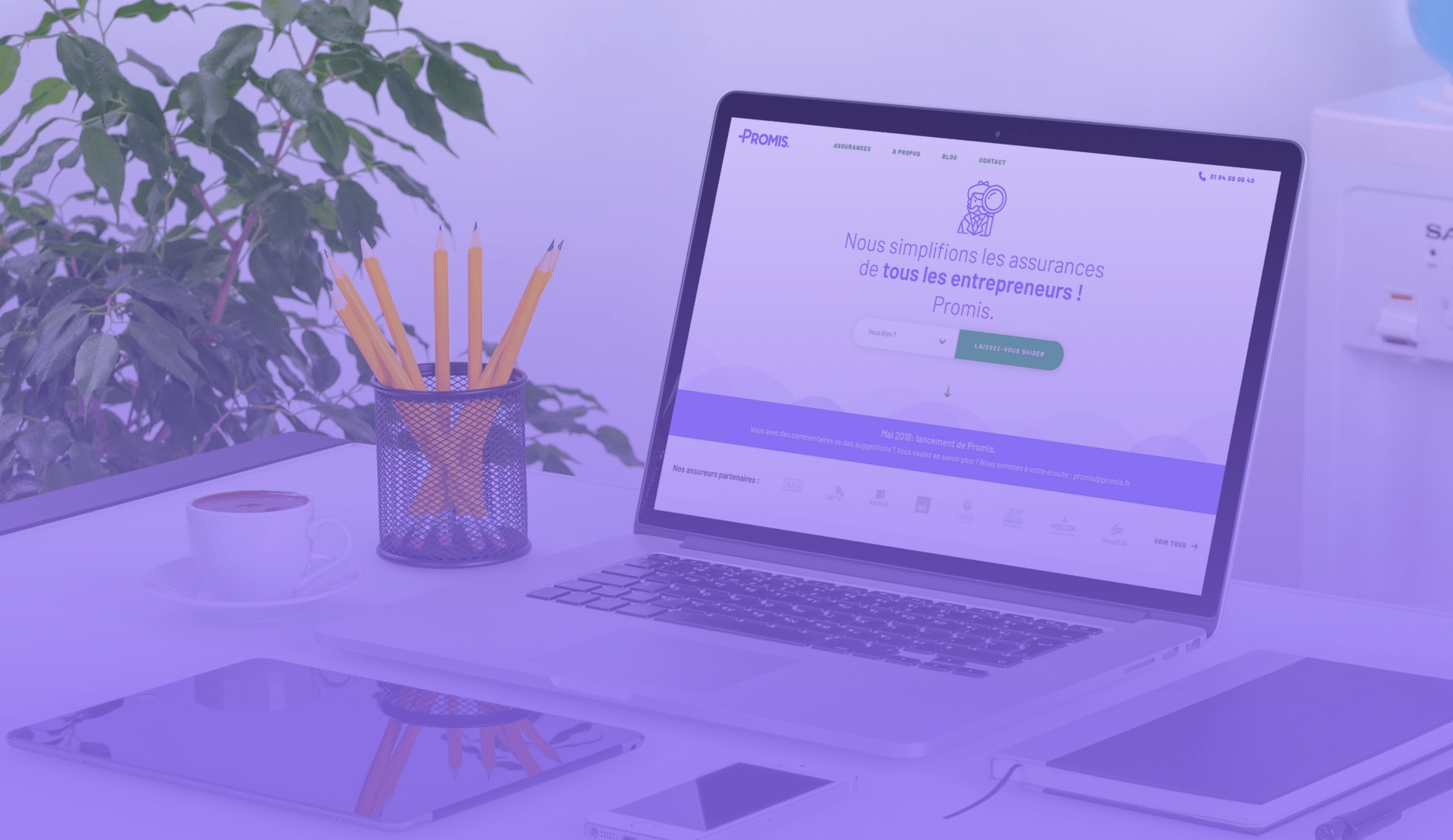 Project case study: Promis